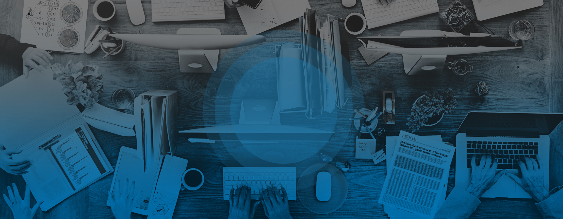 business growth, business services